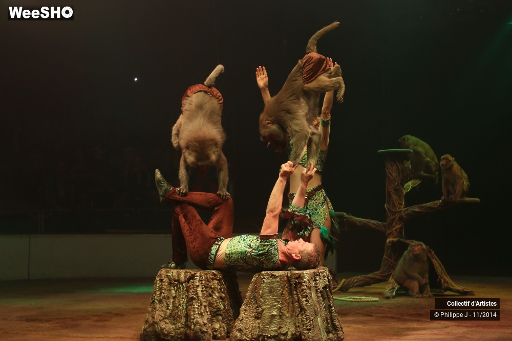 1/19 photos du spectacle Fête lilloise du cirque 2014