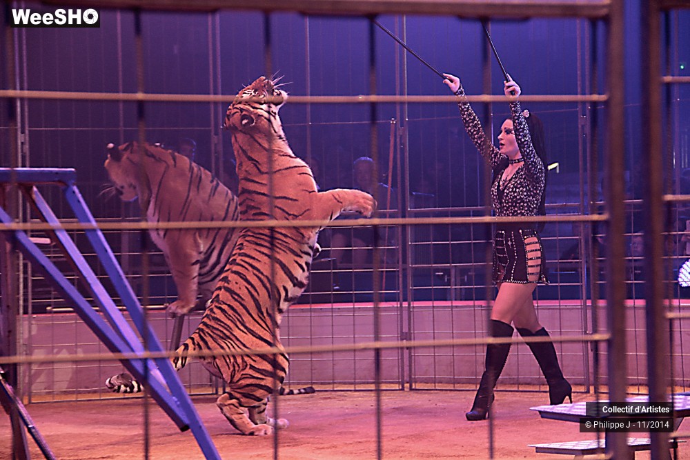 3/19 photos du spectacle Fête lilloise du cirque 2014