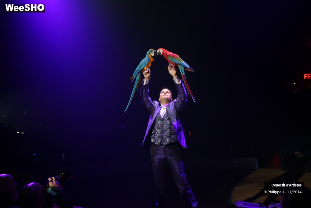 5/19 photos du spectacle Fête lilloise du cirque 2014