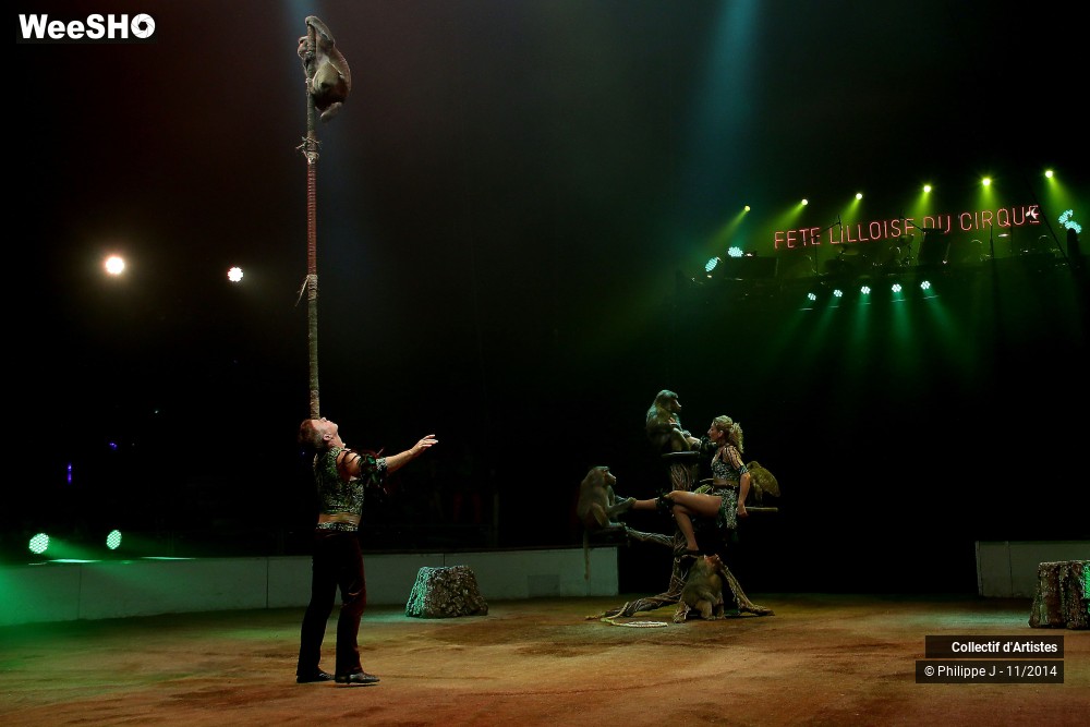 12/19 photos du spectacle Fête lilloise du cirque 2014
