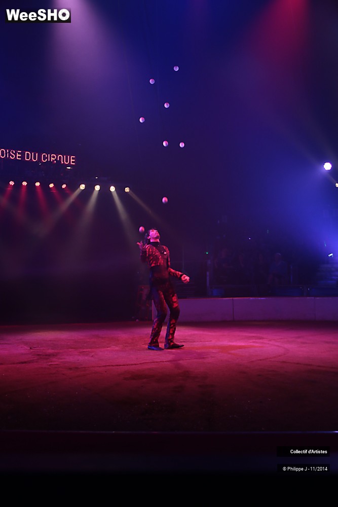 15/19 photos du spectacle Fête lilloise du cirque 2014