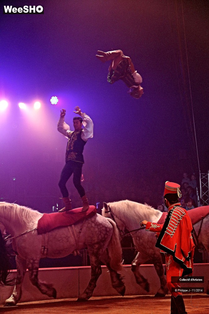 18/19 photos du spectacle Fête lilloise du cirque 2014