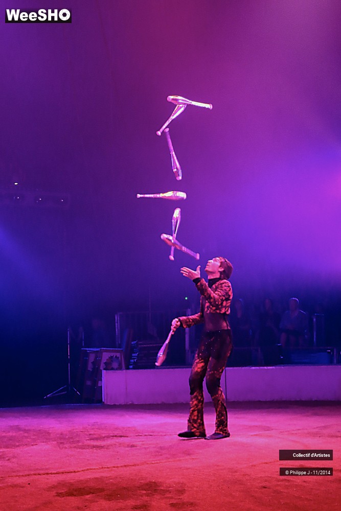 19/19 photos du spectacle Fête lilloise du cirque 2014