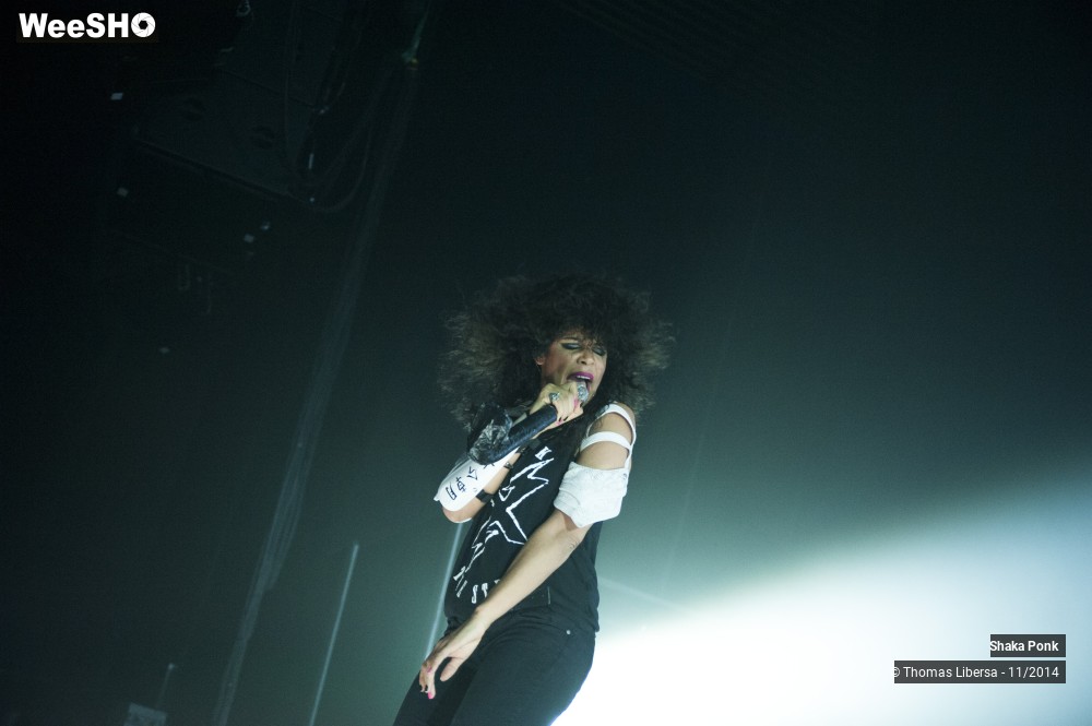 11/25 photos du spectacle Shaka Ponk