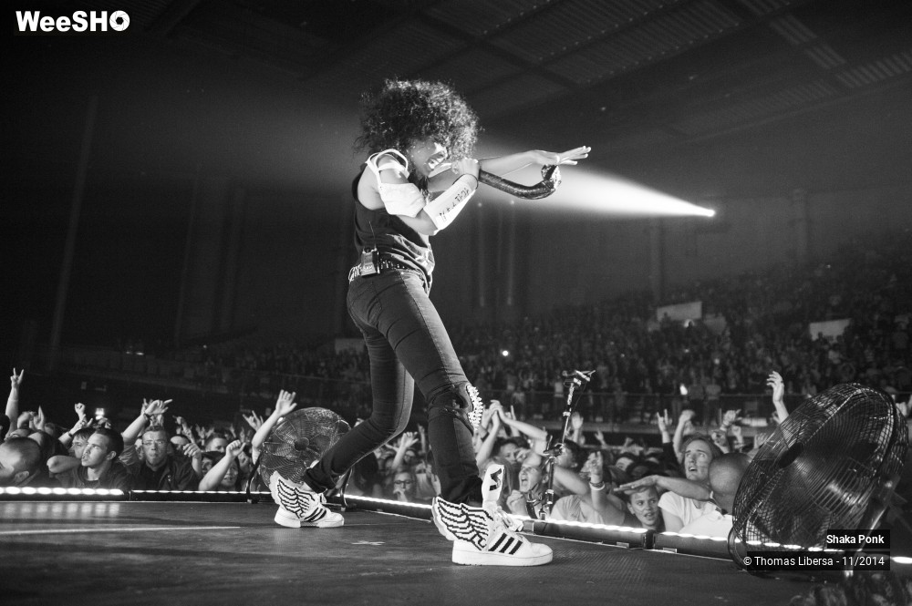 24/25 photos du spectacle Shaka Ponk