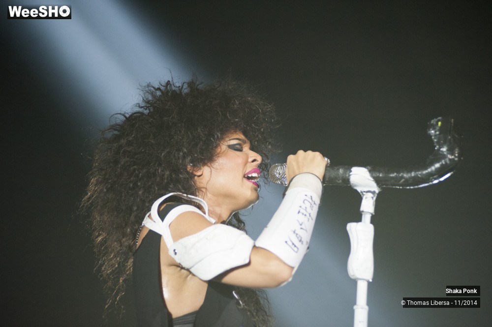 25/25 photos du spectacle Shaka Ponk