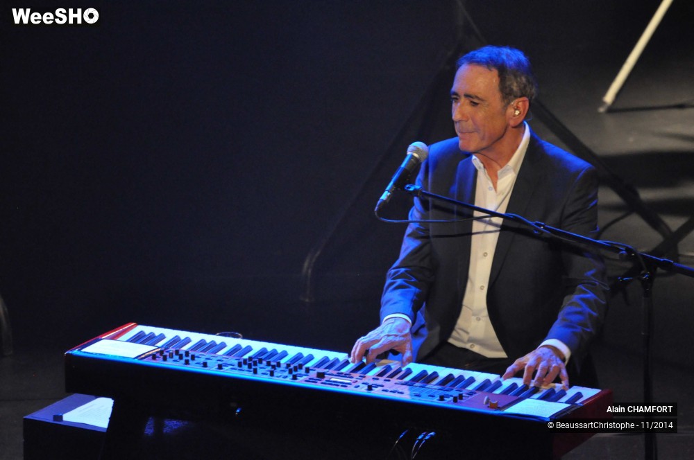 12/38 photos du spectacle Alain Chamfort