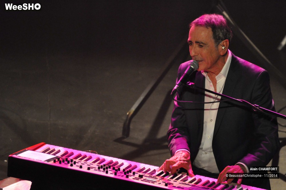 13/38 photos du spectacle Alain Chamfort