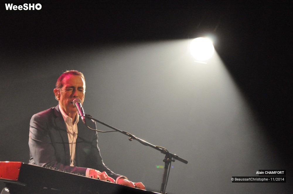 17/38 photos du spectacle Alain Chamfort