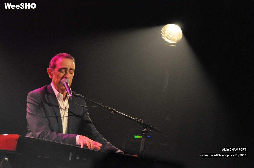 18/38 photos du spectacle Alain Chamfort