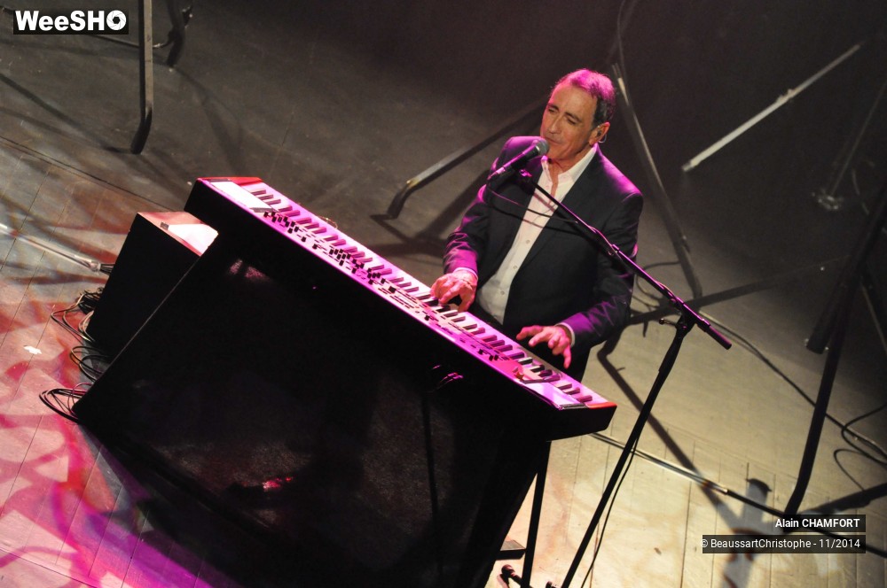 19/38 photos du spectacle Alain Chamfort