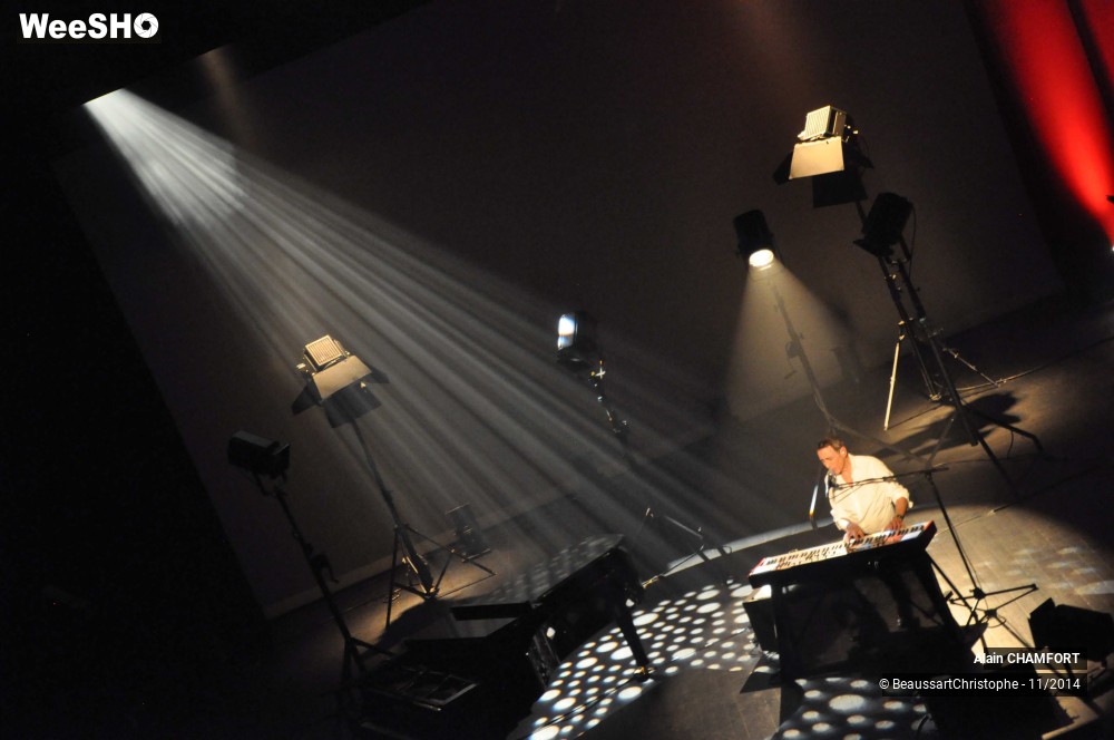 22/38 photos du spectacle Alain Chamfort