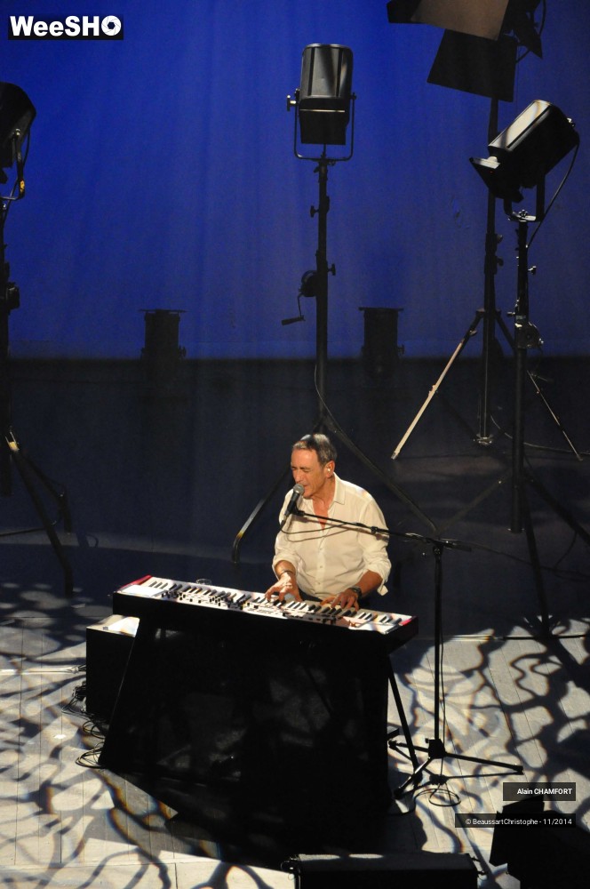 23/38 photos du spectacle Alain Chamfort