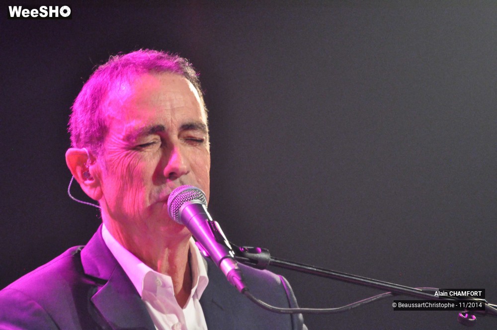 24/38 photos du spectacle Alain Chamfort