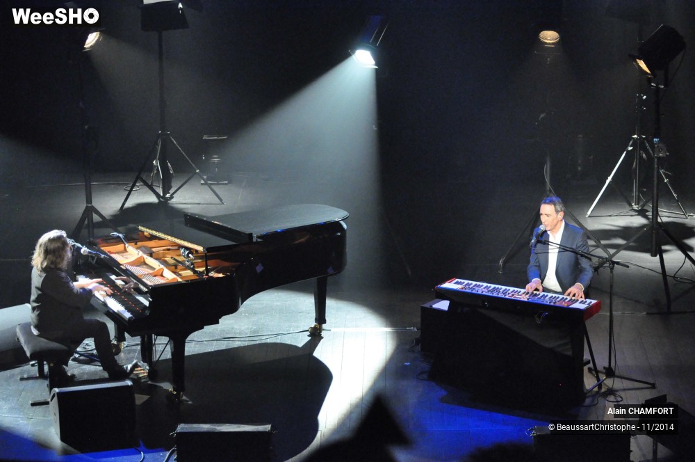 28/38 photos du spectacle Alain Chamfort