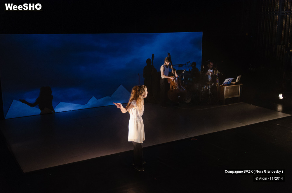 2/48 photos du spectacle Guillaume Tell, le soulèvement