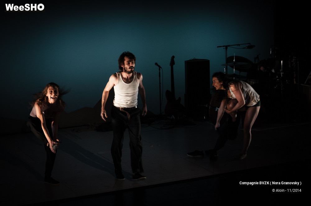 19/48 photos du spectacle Guillaume Tell, le soulèvement