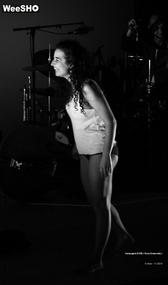 27/48 photos du spectacle Guillaume Tell, le soulèvement