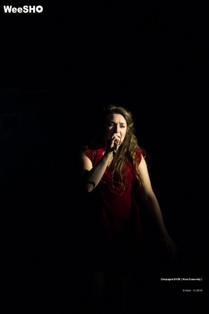 29/48 photos du spectacle Guillaume Tell, le soulèvement