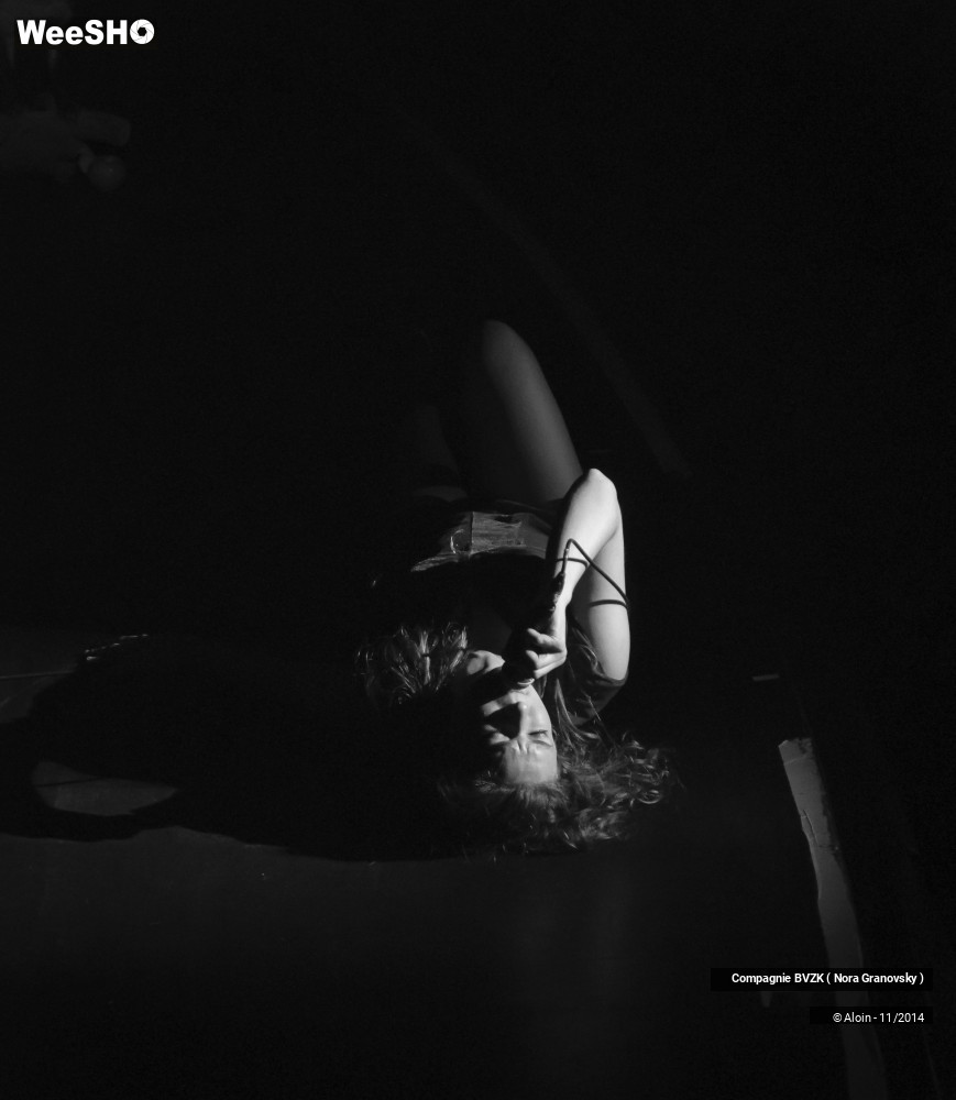 32/48 photos du spectacle Guillaume Tell, le soulèvement