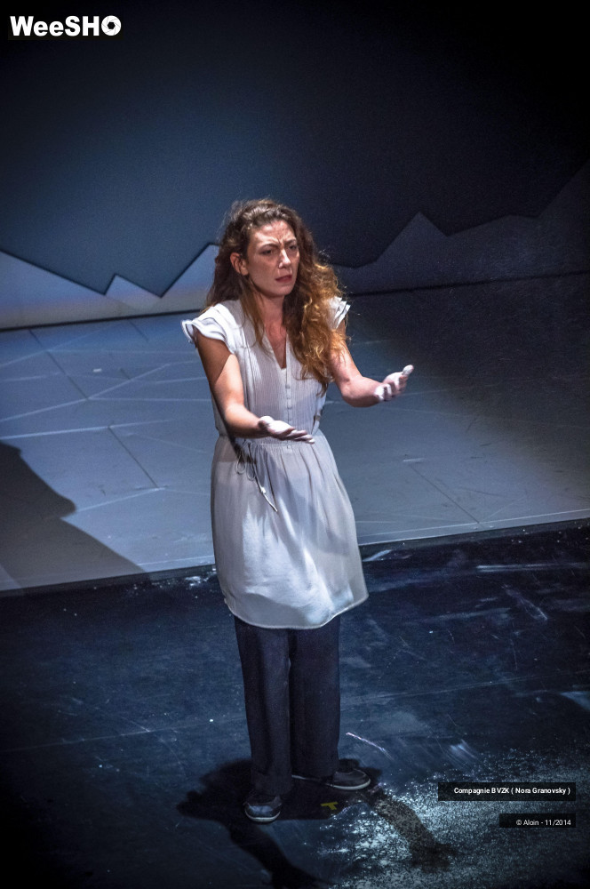 33/48 photos du spectacle Guillaume Tell, le soulèvement