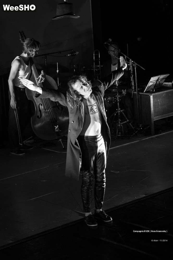 36/48 photos du spectacle Guillaume Tell, le soulèvement