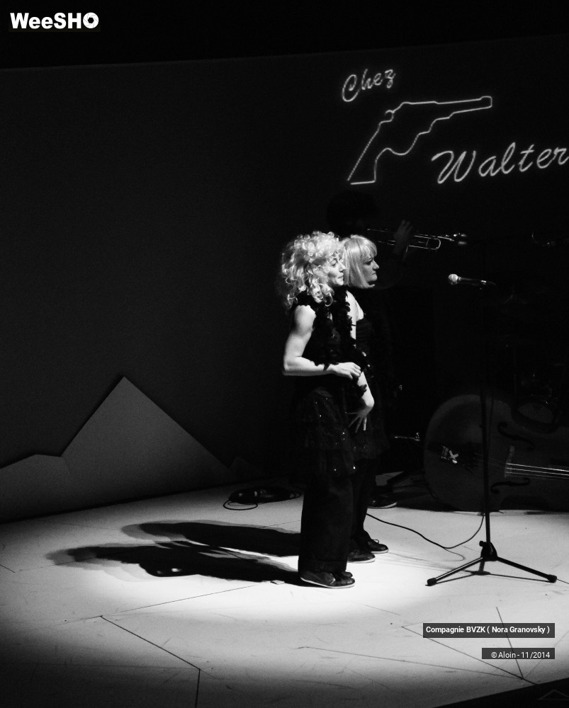 38/48 photos du spectacle Guillaume Tell, le soulèvement