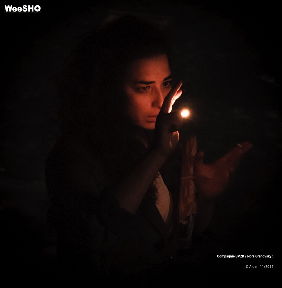 44/48 photos du spectacle Guillaume Tell, le soulèvement