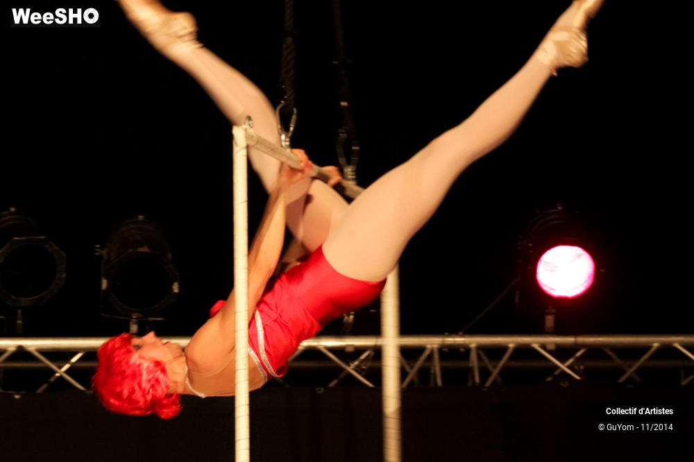 5/41 photos du spectacle Le bal des Vampires - 1ère partie