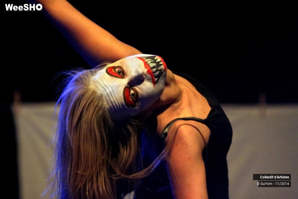 2/47 photos du spectacle Le bal des Vampires - 2ème partie