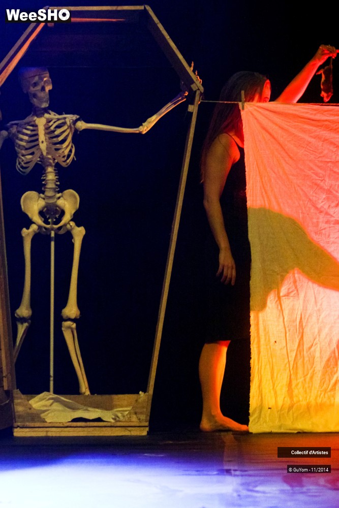 3/47 photos du spectacle Le bal des Vampires - 2ème partie