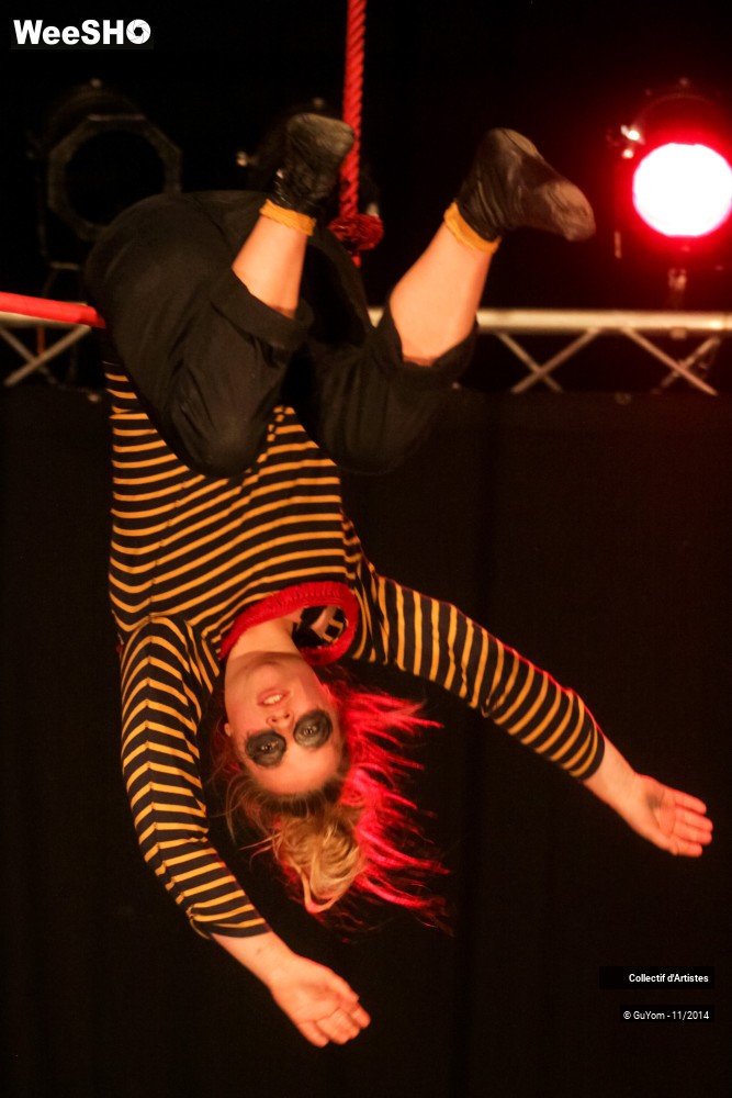7/47 photos du spectacle Le bal des Vampires - 2ème partie