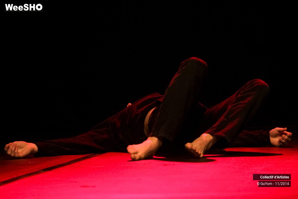 9/47 photos du spectacle Le bal des Vampires - 2ème partie