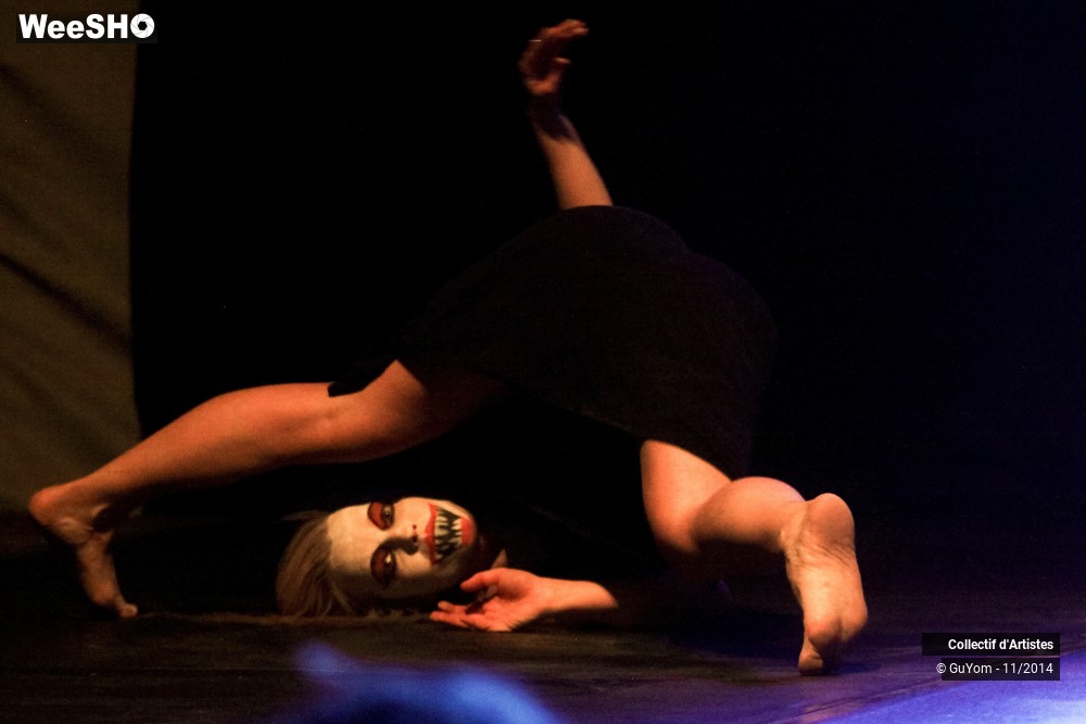 10/47 photos du spectacle Le bal des Vampires - 2ème partie