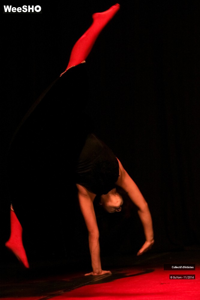 17/47 photos du spectacle Le bal des Vampires - 2ème partie