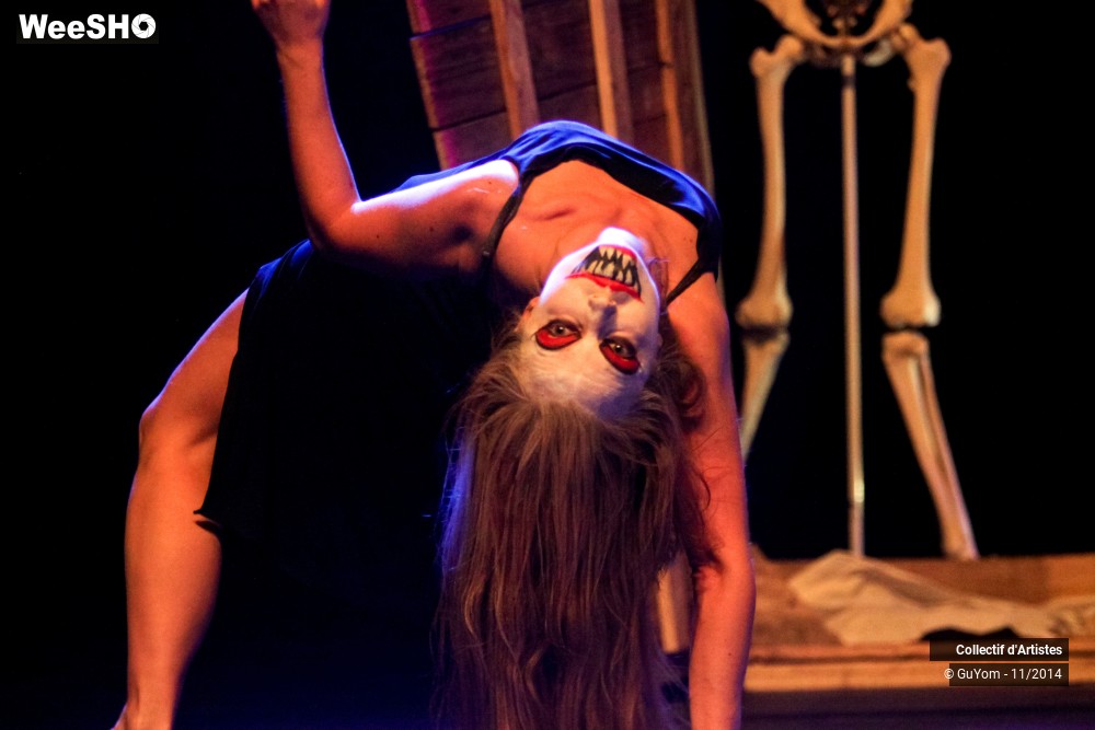18/47 photos du spectacle Le bal des Vampires - 2ème partie