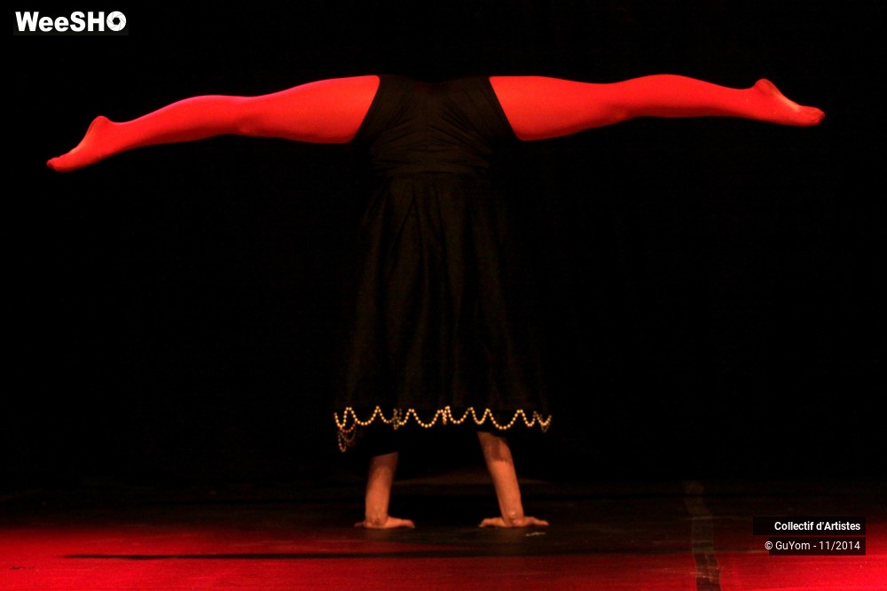 20/47 photos du spectacle Le bal des Vampires - 2ème partie