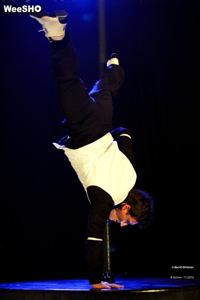 24/47 photos du spectacle Le bal des Vampires - 2ème partie