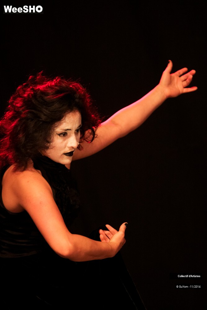 28/47 photos du spectacle Le bal des Vampires - 2ème partie