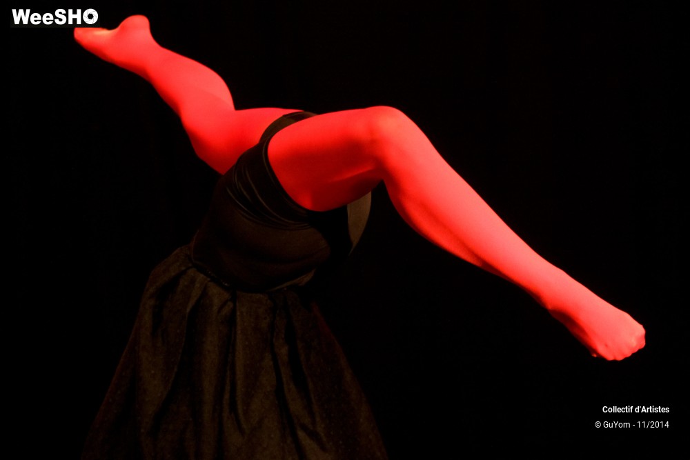 34/47 photos du spectacle Le bal des Vampires - 2ème partie