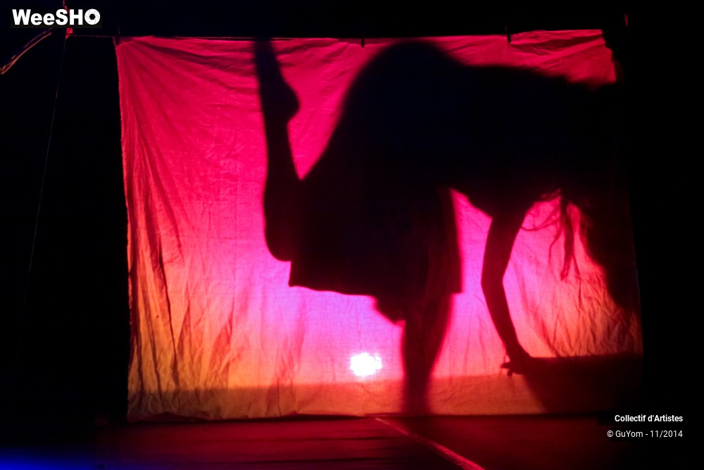 37/47 photos du spectacle Le bal des Vampires - 2ème partie