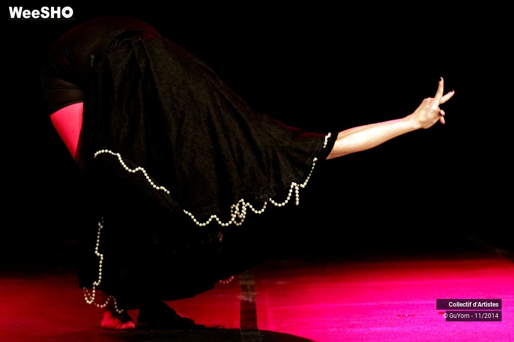 42/47 photos du spectacle Le bal des Vampires - 2ème partie
