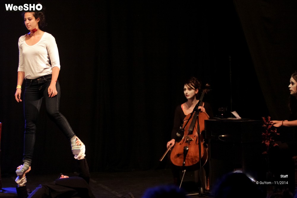 8/49 photos du spectacle Le Bal des Vampires - Ambiance et présentation