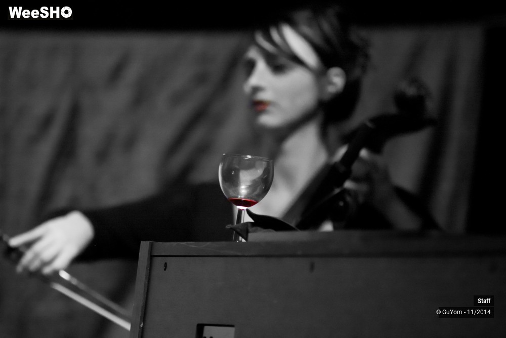 9/49 photos du spectacle Le Bal des Vampires - Ambiance et présentation