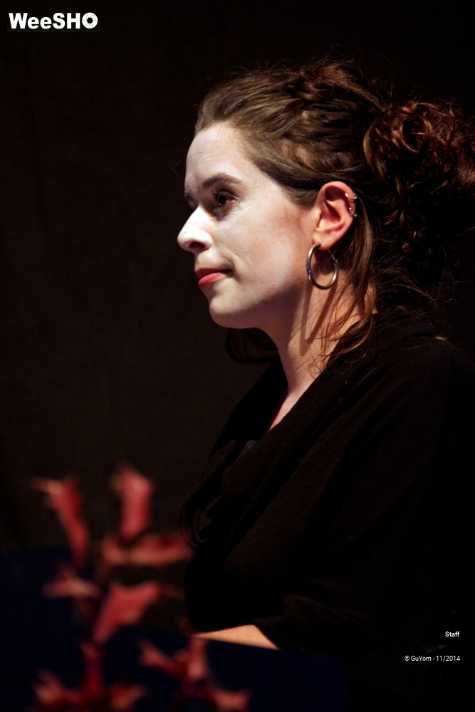 10/49 photos du spectacle Le Bal des Vampires - Ambiance et présentation