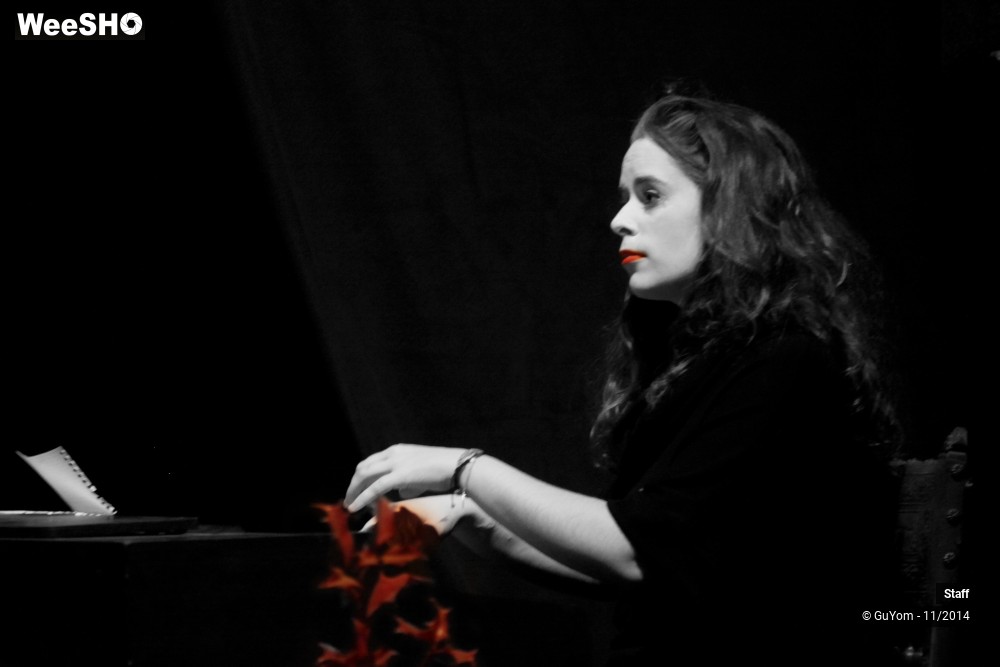 15/49 photos du spectacle Le Bal des Vampires - Ambiance et présentation