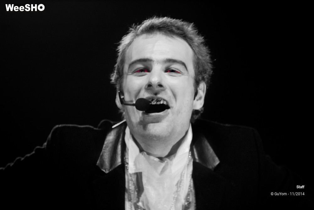 19/49 photos du spectacle Le Bal des Vampires - Ambiance et présentation