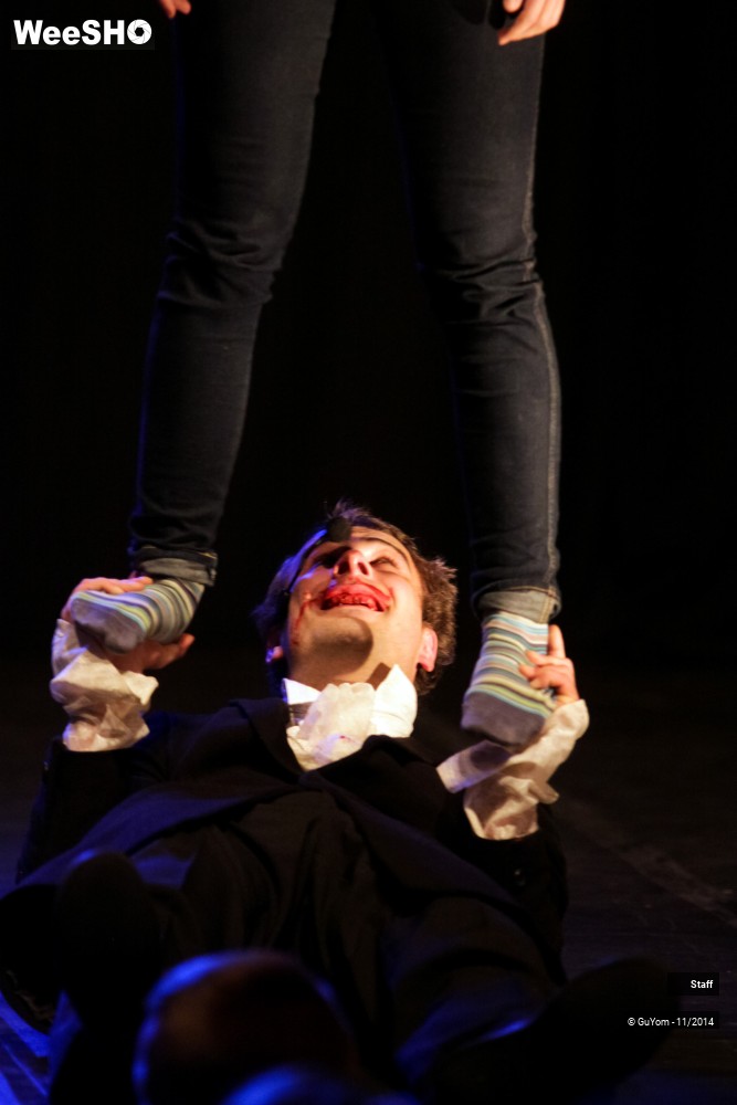 22/49 photos du spectacle Le Bal des Vampires - Ambiance et présentation