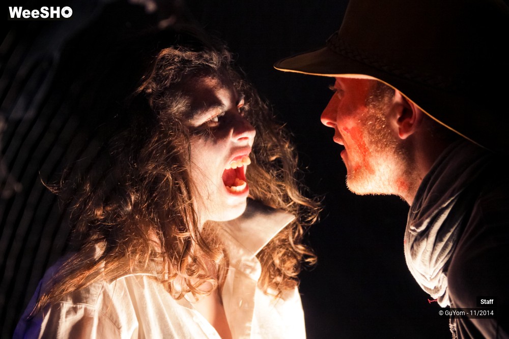 26/49 photos du spectacle Le Bal des Vampires - Ambiance et présentation