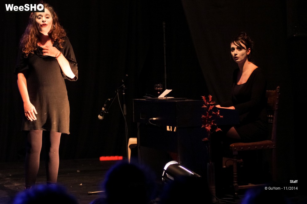 30/49 photos du spectacle Le Bal des Vampires - Ambiance et présentation